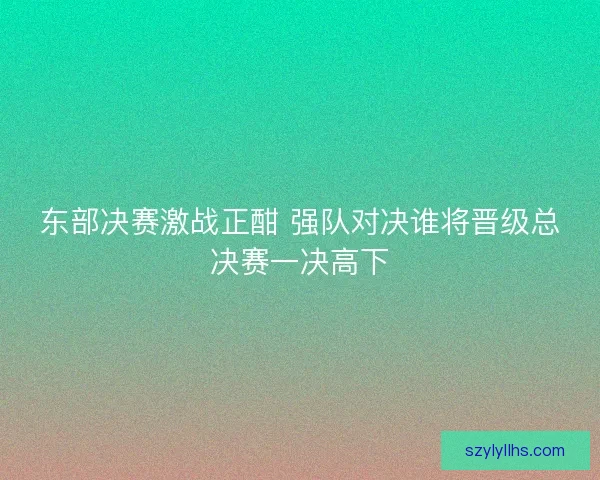 东部决赛激战正酣 强队对决谁将晋级总决赛一决高下